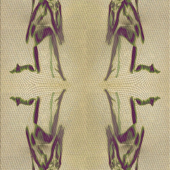 Machine Washable Transitional Dark Gold Brown Rug, wshpat158brn