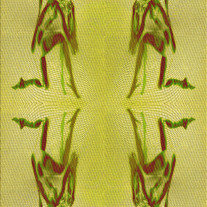 Machine Washable Transitional Yellow Rug, wshpat158yw