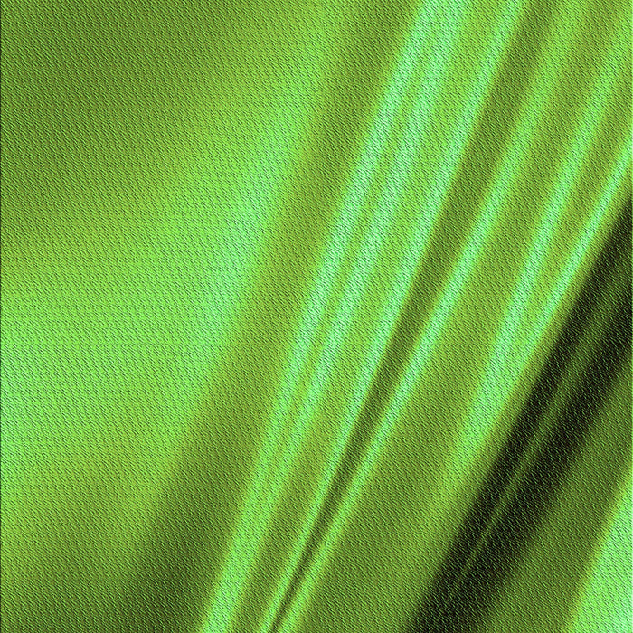 Patterned Dark Lime Green Rug, pat1580grn