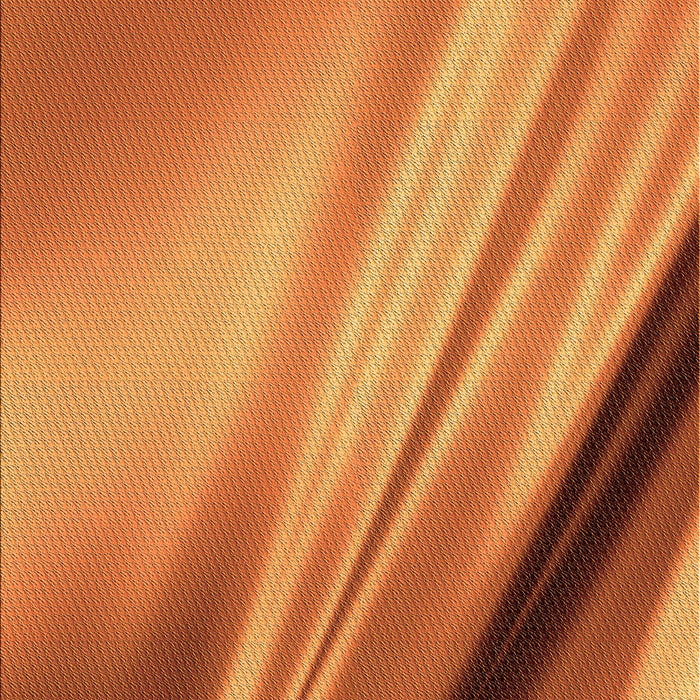 Machine Washable Transitional Red Rug, wshpat1580org