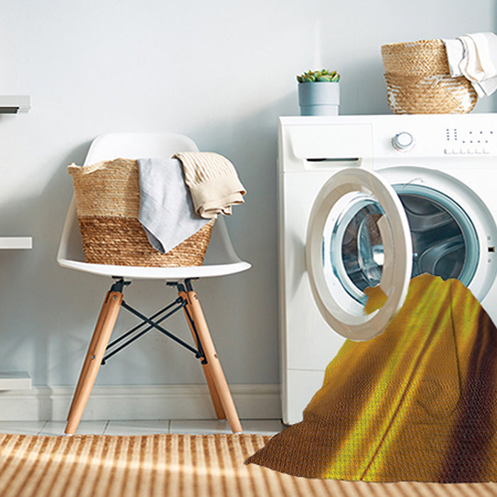 Machine Washable Transitional Mahogany Brown Rug in a Washing Machine, wshpat1580