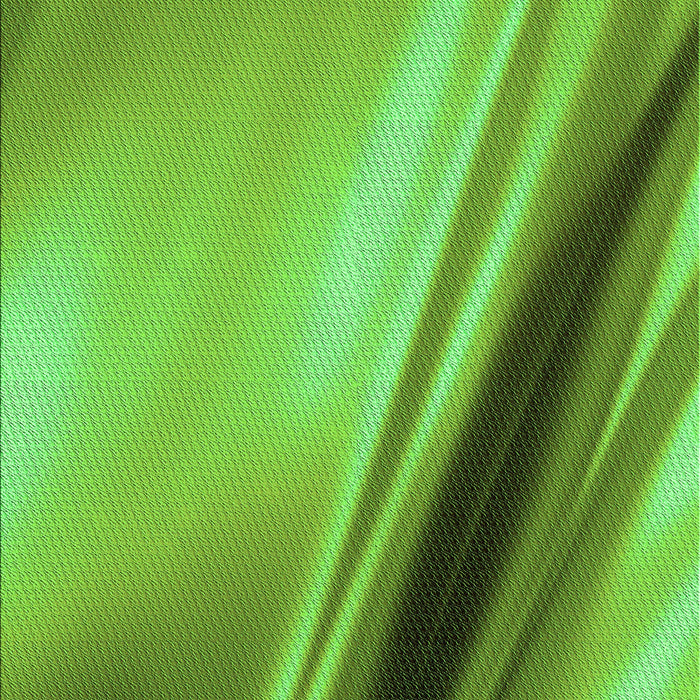 Machine Washable Transitional Emerald Green Rug, wshpat1581grn