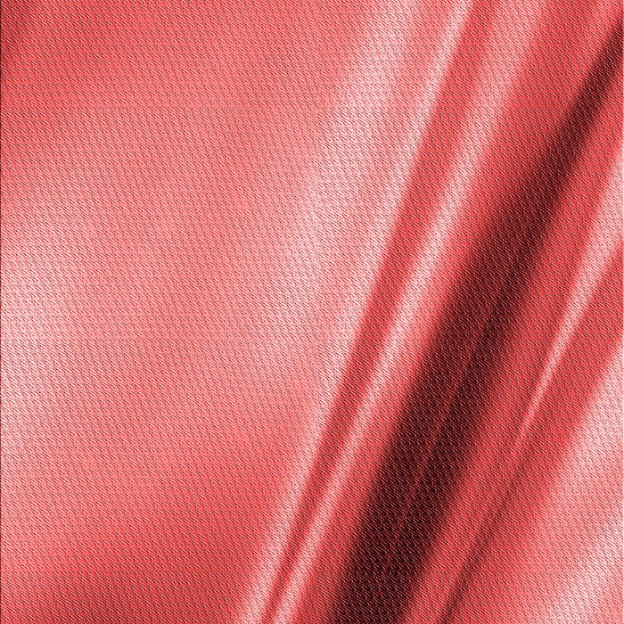 Patterned Red Rug, pat1581rd