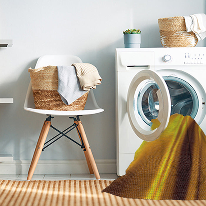 Machine Washable Transitional Mahogany Brown Rug in a Washing Machine, wshpat1581