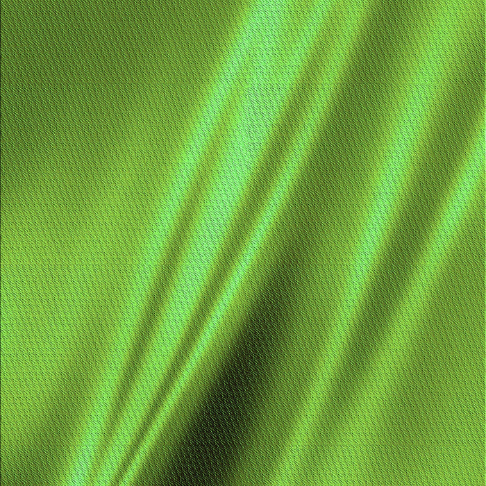 Machine Washable Transitional Dark Lime Green Rug, wshpat1582grn