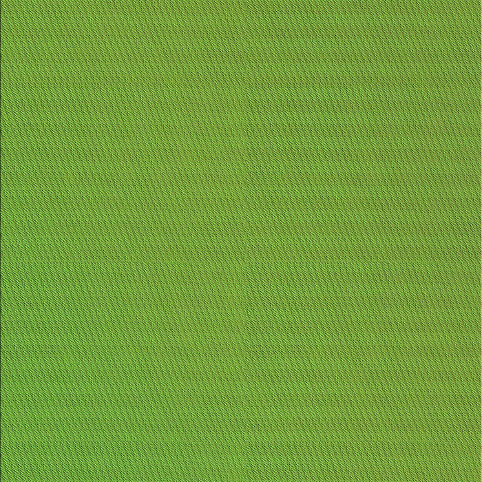 Patterned Dark Lime Green Rug, pat1594grn