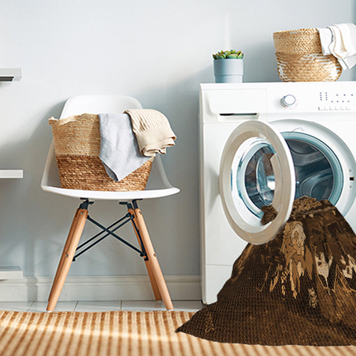 Machine Washable Transitional Black Brown Rug in a Washing Machine, wshpat1595org