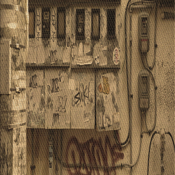 Machine Washable Transitional Cinnamon Brown Rug, wshpat1596brn