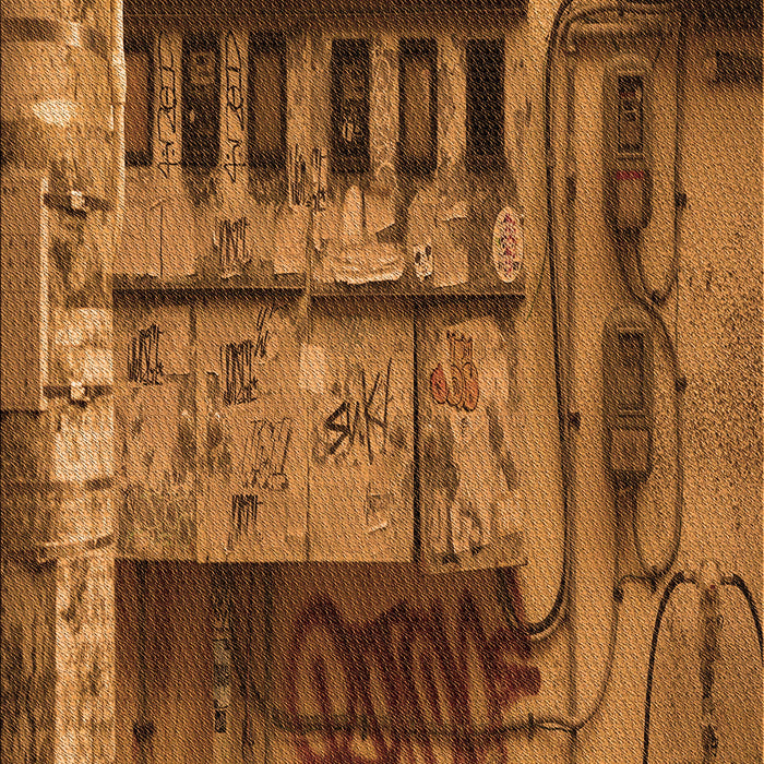 Machine Washable Transitional Saddle Brown Rug, wshpat1596org