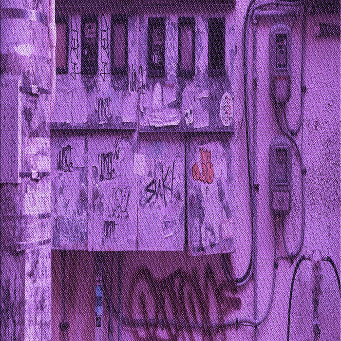 Machine Washable Transitional Purple Rug, wshpat1596pur