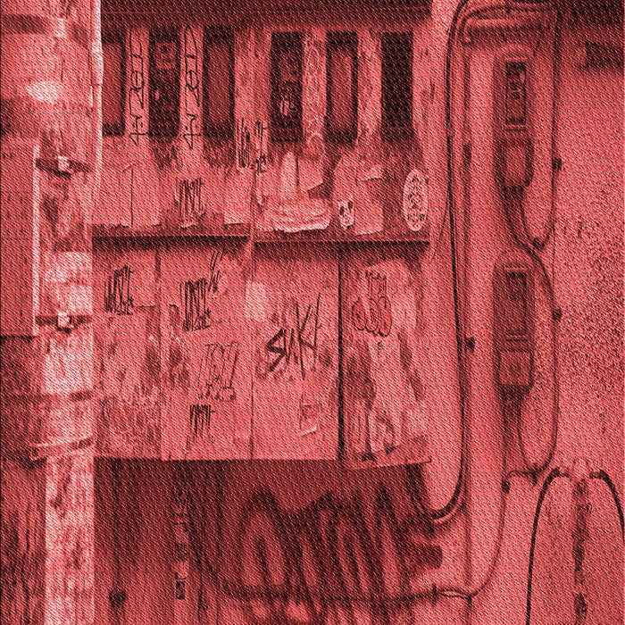 Machine Washable Transitional Red Rug, wshpat1596rd