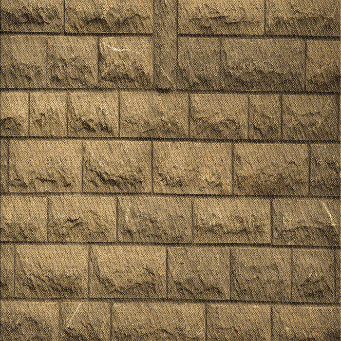 Machine Washable Transitional Cinnamon Brown Rug, wshpat1597brn