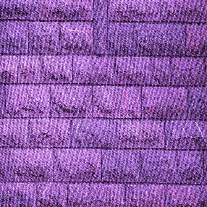 Machine Washable Transitional Purple Rug, wshpat1597pur