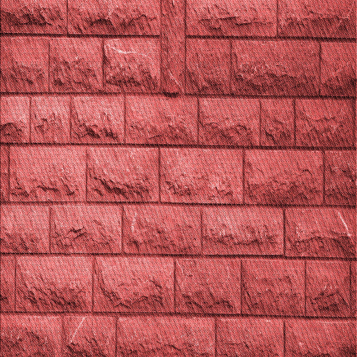 Patterned Red Rug, pat1597rd