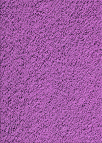 Machine Washable Transitional Dark Orchid Purple Rug, wshpat1599pur