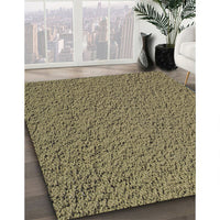 Patterned Copper Green Novelty Rug, pat1599