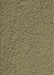 Machine Washable Transitional Brass Green Rug, wshpat1599