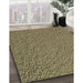 Patterned Copper Green Novelty Rug in Family Room, pat1599