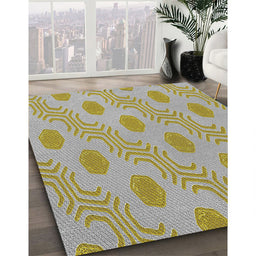 Patterned Brown Novelty Rug in Family Room, pat159