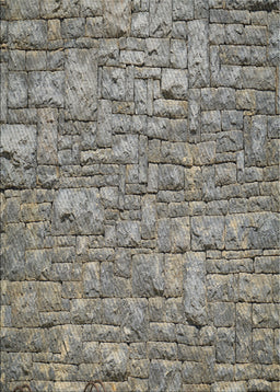 Patterned Black Novelty Rug, pat1600