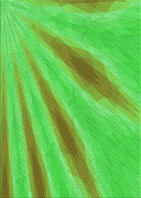 Machine Washable Transitional Neon Green Rug, wshpat1602grn