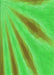Machine Washable Transitional Neon Green Rug, wshpat1602grn