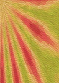 Machine Washable Transitional Orange Red Orange Rug, wshpat1602org