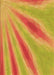 Machine Washable Transitional Orange Red Orange Rug, wshpat1602org