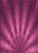 Machine Washable Transitional Neon Pink Rug, wshpat1603pur