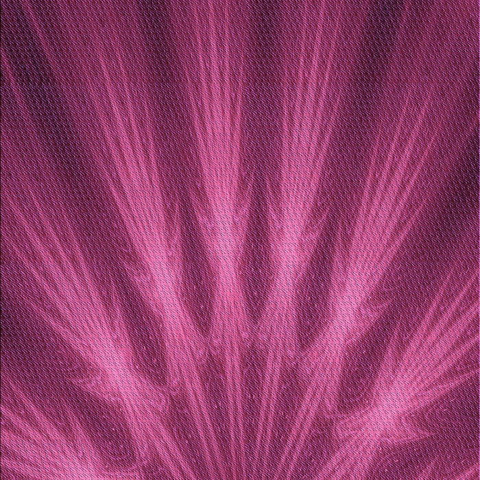 Machine Washable Transitional Neon Pink Rug, wshpat1603pur