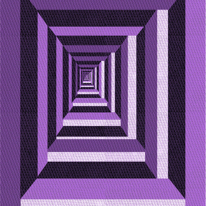 Machine Washable Transitional Purple Rug, wshpat1604pur