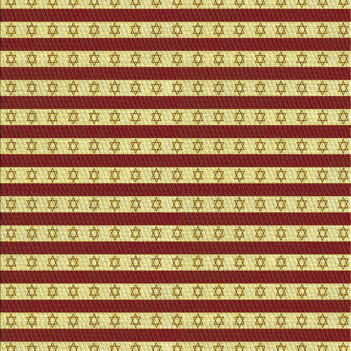 Machine Washable Transitional Red Rug, wshpat1605yw