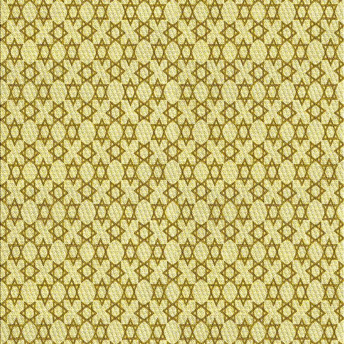 Machine Washable Transitional Caramel Brown Rug, wshpat1607yw