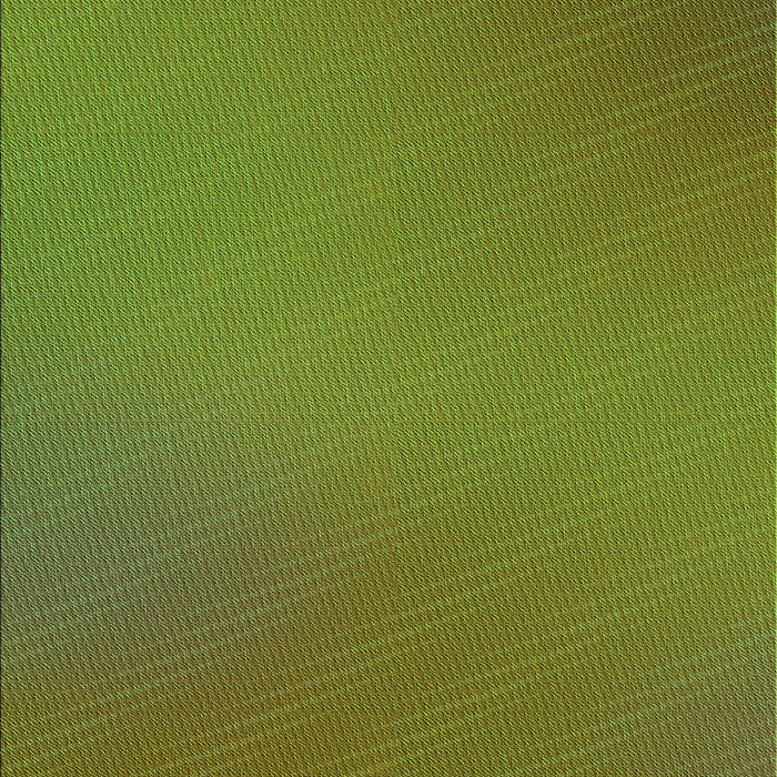 Machine Washable Transitional Oak Brown Rug, wshpat161grn