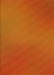 Patterned Neon Orange Rug, pat161yw