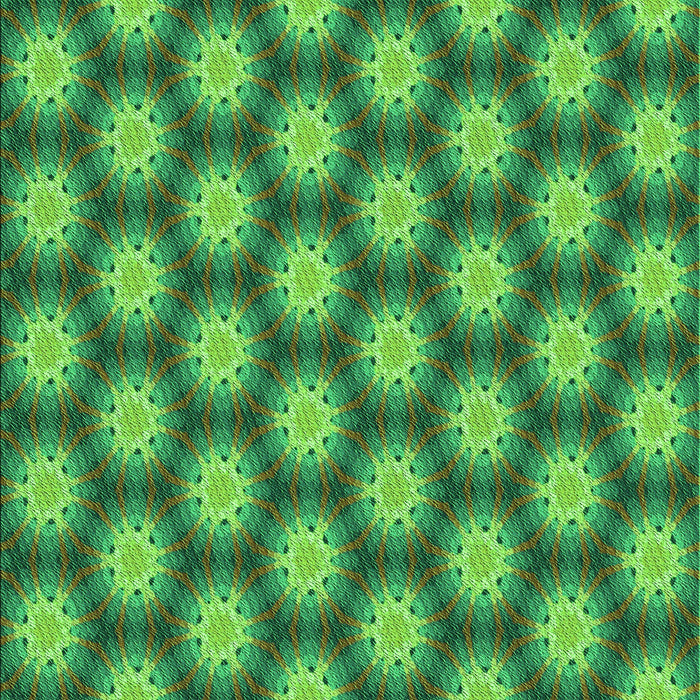 Machine Washable Transitional Forest Green Rug, wshpat1610grn