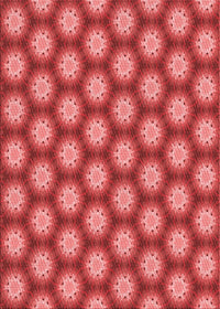 Machine Washable Transitional Red Rug, wshpat1610rd