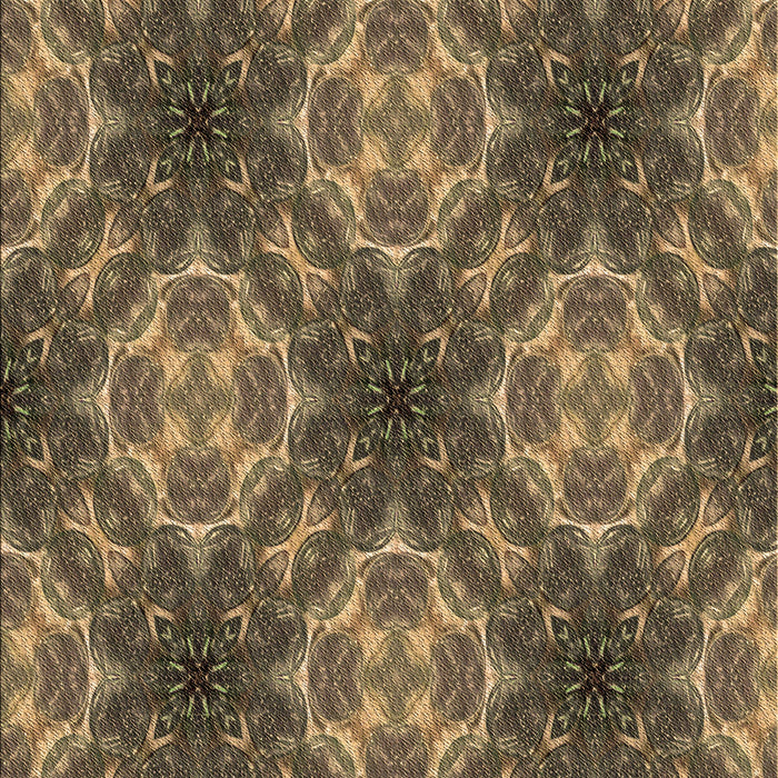 Machine Washable Transitional Bronze Brown Rug, wshpat1611brn