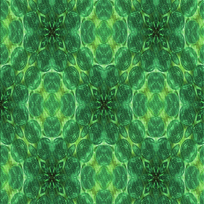 Machine Washable Transitional Green Rug, wshpat1611grn