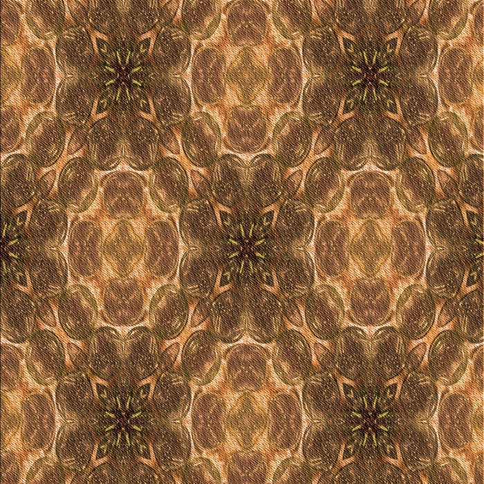 Patterned Orange Rug, pat1611org