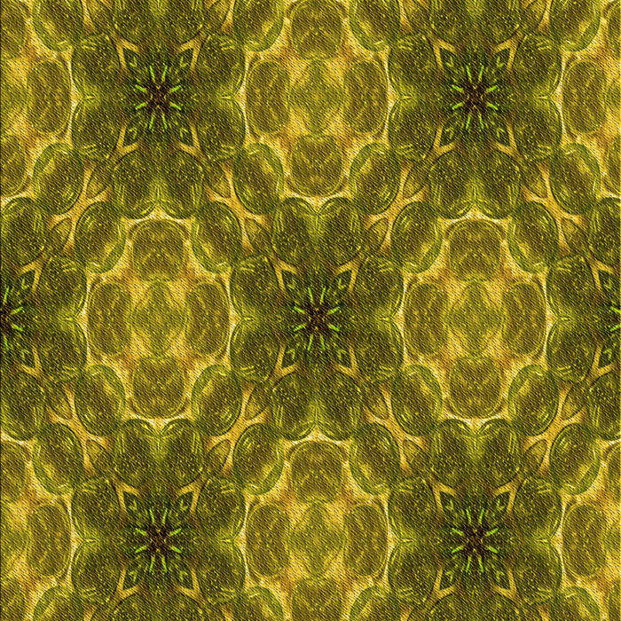 Machine Washable Transitional Dark Bronze Brown Rug, wshpat1611yw