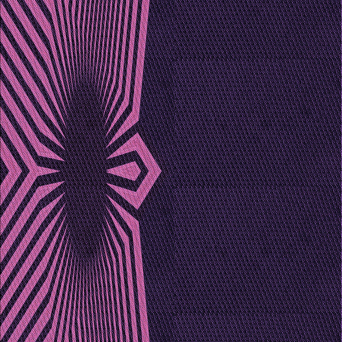 Machine Washable Transitional Deep Purple Rug, wshpat1612pur