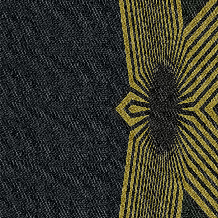 Sideview of Machine Washable Transitional Black Rug, wshpat1612