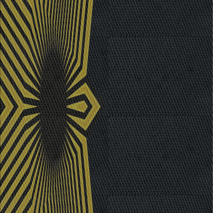 Patterned Black Novelty Rug, pat1612