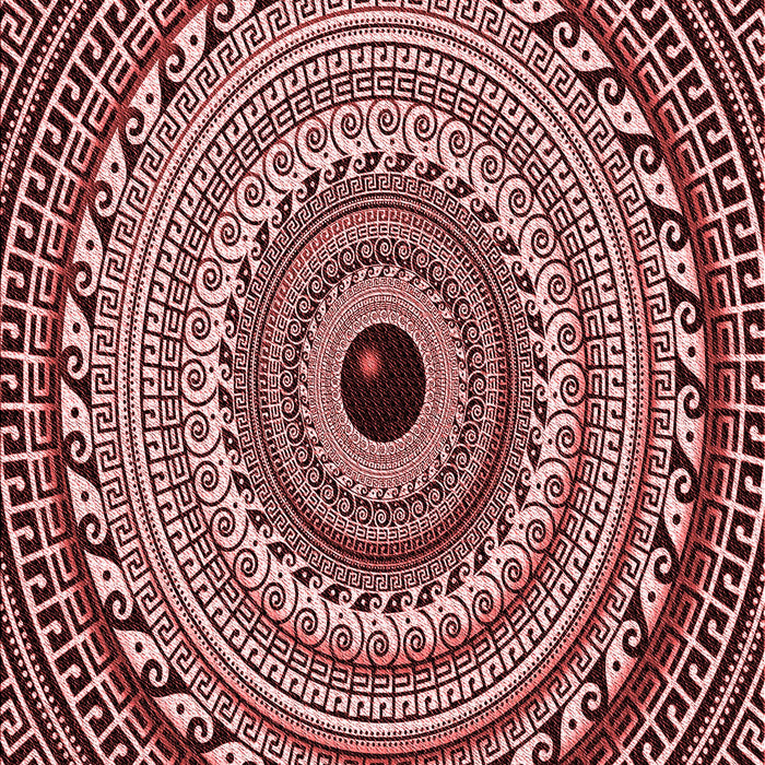 Machine Washable Transitional Pink Daisy Pink Rug, wshpat1614rd