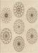 Patterned Peru Brown Rug, pat1619brn