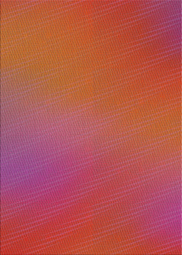 Machine Washable Transitional Red Rug, wshpat161