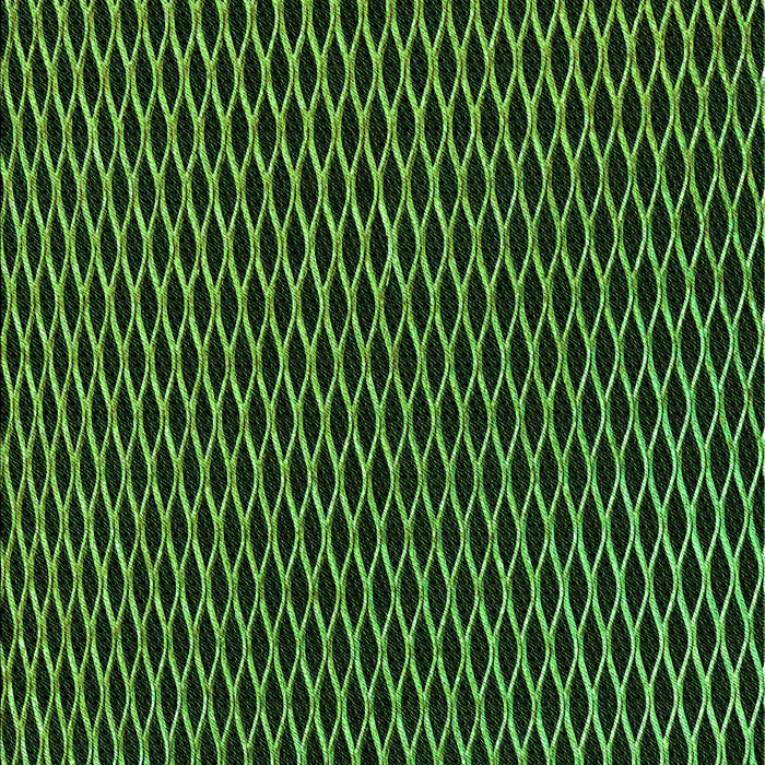 Machine Washable Transitional Black Rug, wshpat1620grn