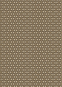 Machine Washable Transitional Brown Sugar Brown Rug, wshpat1621brn