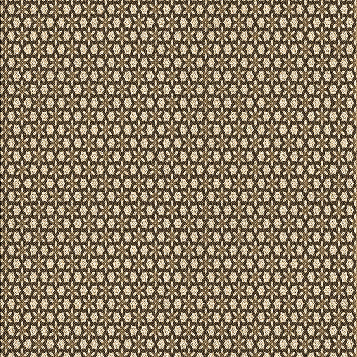 Machine Washable Transitional Brown Sugar Brown Rug, wshpat1621brn